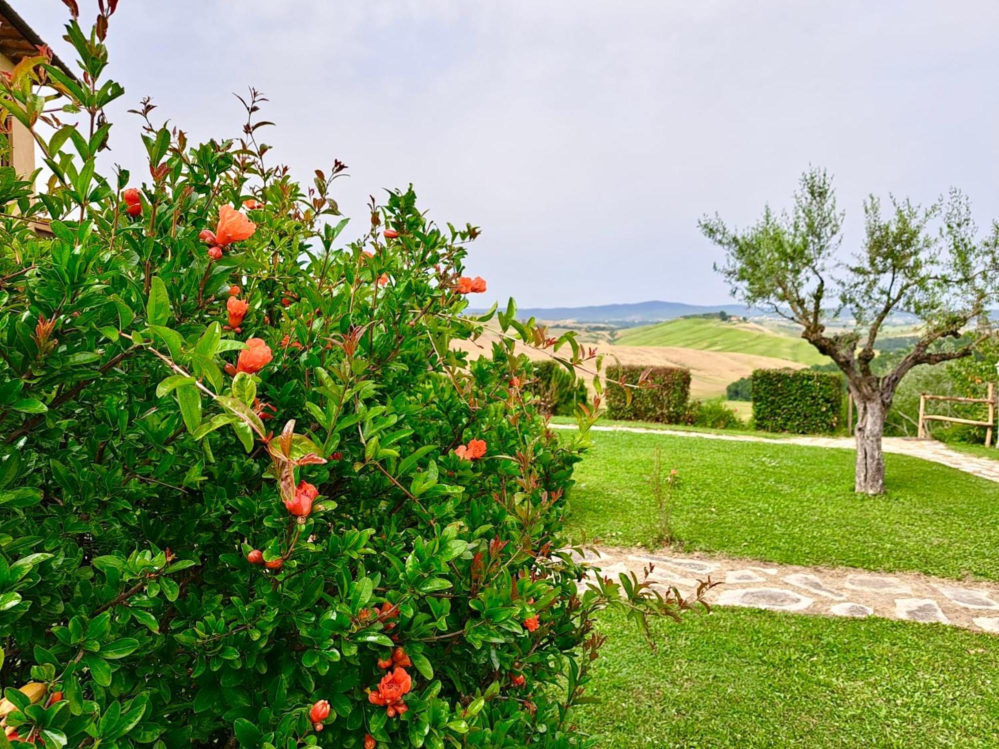 Agriturismo Caliano Asciano Exterior photo